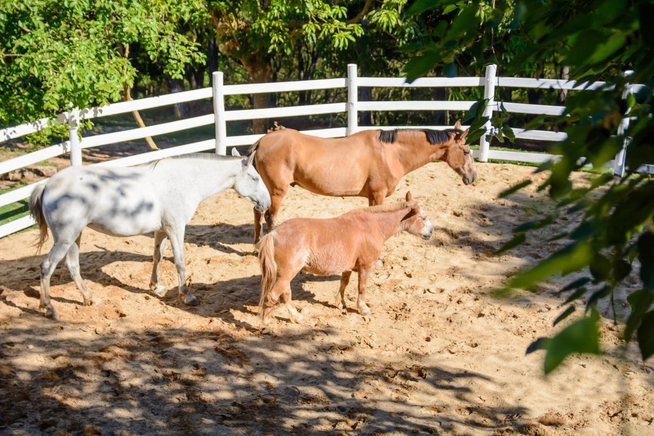 Hotel Cabana Do Rei São João del Rei Eksteriør billede
